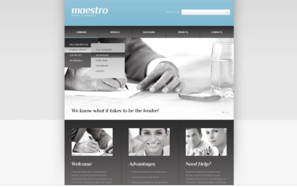 Consulting Responsive Website Template 1.0