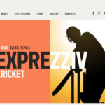 Cricket Responsive Website Template 1.0
