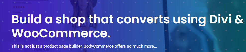 Divi20BodyCommerce208.6.6.png Divi BodyCommerce 8.6.6 - Image 1
