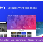 Edumy LMS Online Education Course WordPress Theme 1.2.38