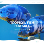 Fish Responsive Website Template 1.0