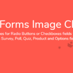 Jetsloth Gravity Forms Image Choices 1.7.3