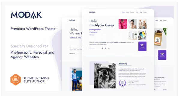 Modak One Page WordPress Theme 1.3.0