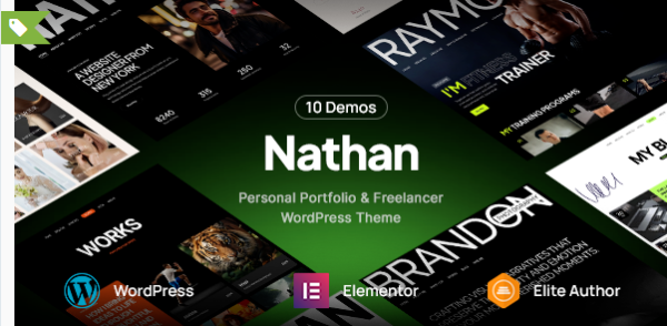 Nathan Personal Portfolio WordPress Theme 1.0.5