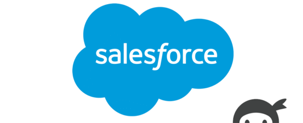 Ninja Forms SalesForce CRM 3.3.9