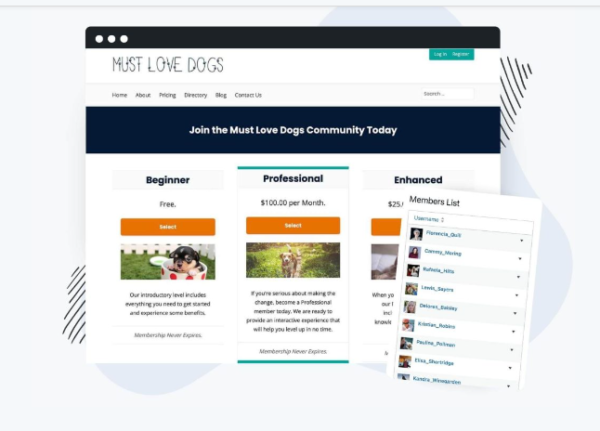 Paid Memberships Pro Courses 2.2.2