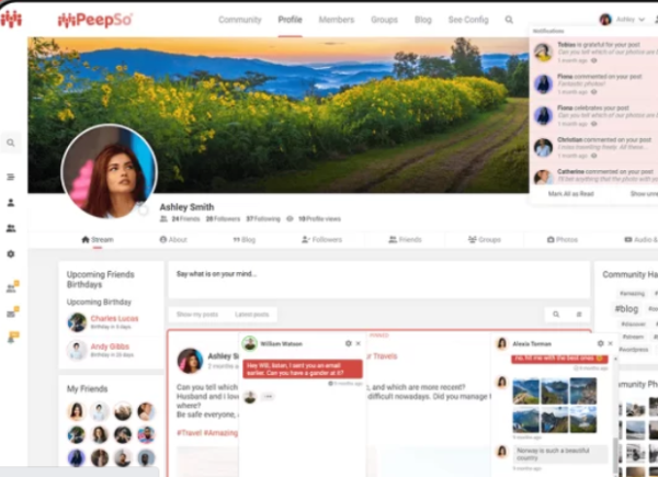 PeepSo integrations: IdeaPush 6.4.6.0