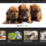 Pet Shop Responsive Website Template 1.0