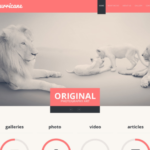 Photographer Portfolio Website Template 1.0