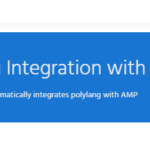 Polylang For AMP 1.2.11
