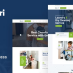 Qondri Dry Cleaning & Laundry Services Wordpress Theme 1.3.5