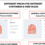 Role Based Pricing for WooCommerce 2.2.4
