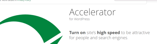 Seraphinite Accelerator (Full)  2.29.29
