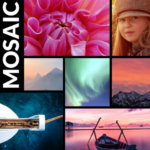 Themify Builder Mosaic Addon 3.6.1