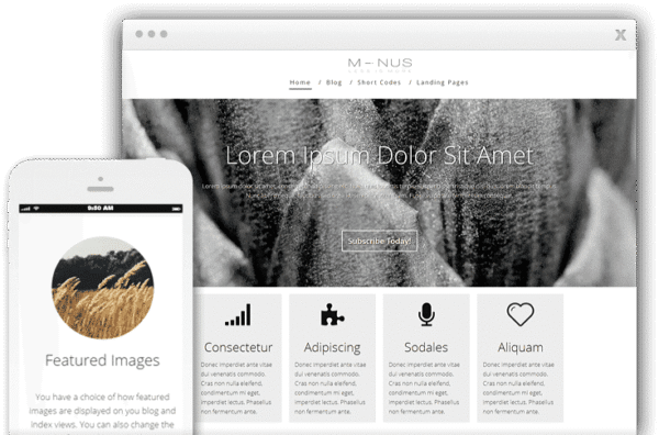 Thrive Themes Minus WordPress Theme 2.11
