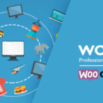 WOOBE WooCommerce Bulk Editor Professional 2.2.5