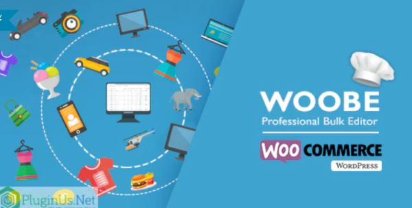 WOOBE WooCommerce Bulk Editor Professional 2.2.5