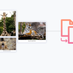 WP Portfolio Wordpress plugin with original license key Activation for lifetime 1.13.6