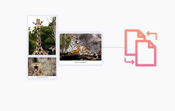 WP Portfolio Wordpress plugin with original license key Activation for lifetime 1.13.6