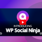 WP Social Ninja Pro 4.4.0