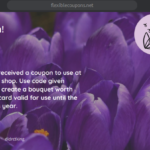 WPDesk Flexible PDF Coupons WooCommerce 2.5.14
