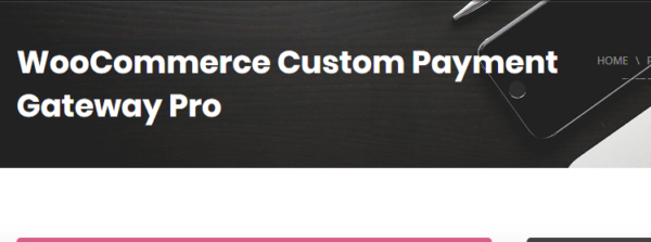 WooCommerce Custom Payment Gateway Pro 4.0.1